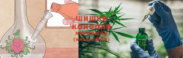 дмт Надым