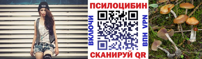 Галлюциногенные грибы Psilocybine cubensis  hydra маркетплейс  Коммунар  закладка 