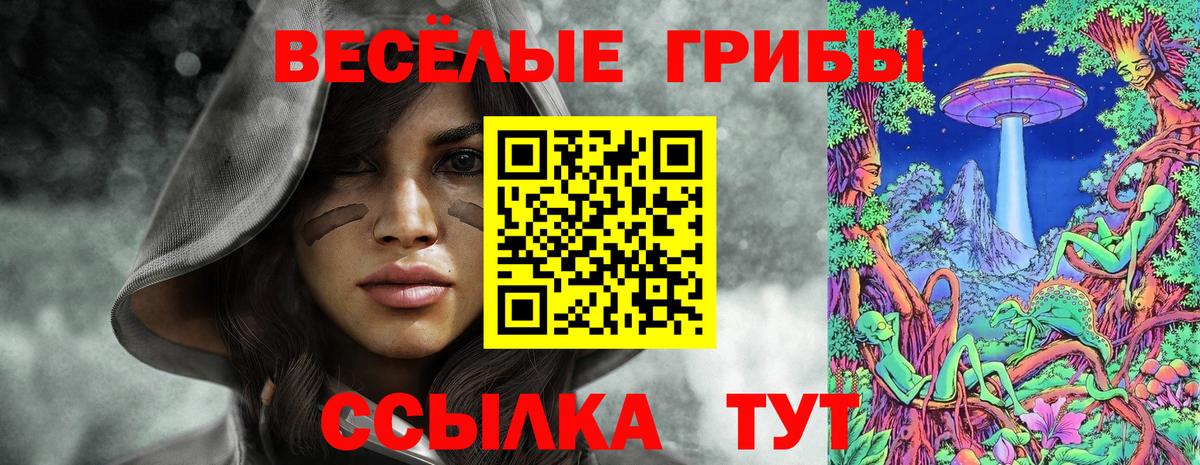 Галлюциногенные грибы Magic Shrooms  Коммунар  Галлюциногенные грибы Psilocybine cubensis 