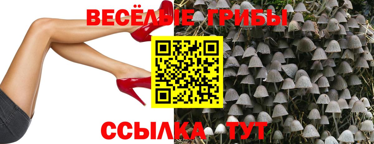 Псилоцибиновые грибы MAGIC MUSHROOMS  Вход с VPN  Коммунар  Галлюциногенные грибы Cubensis 